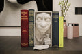 Free House Elf Book Nook | Magic World 3D Shadow Box | Fantasy Shelf Decor 3D Wall Art