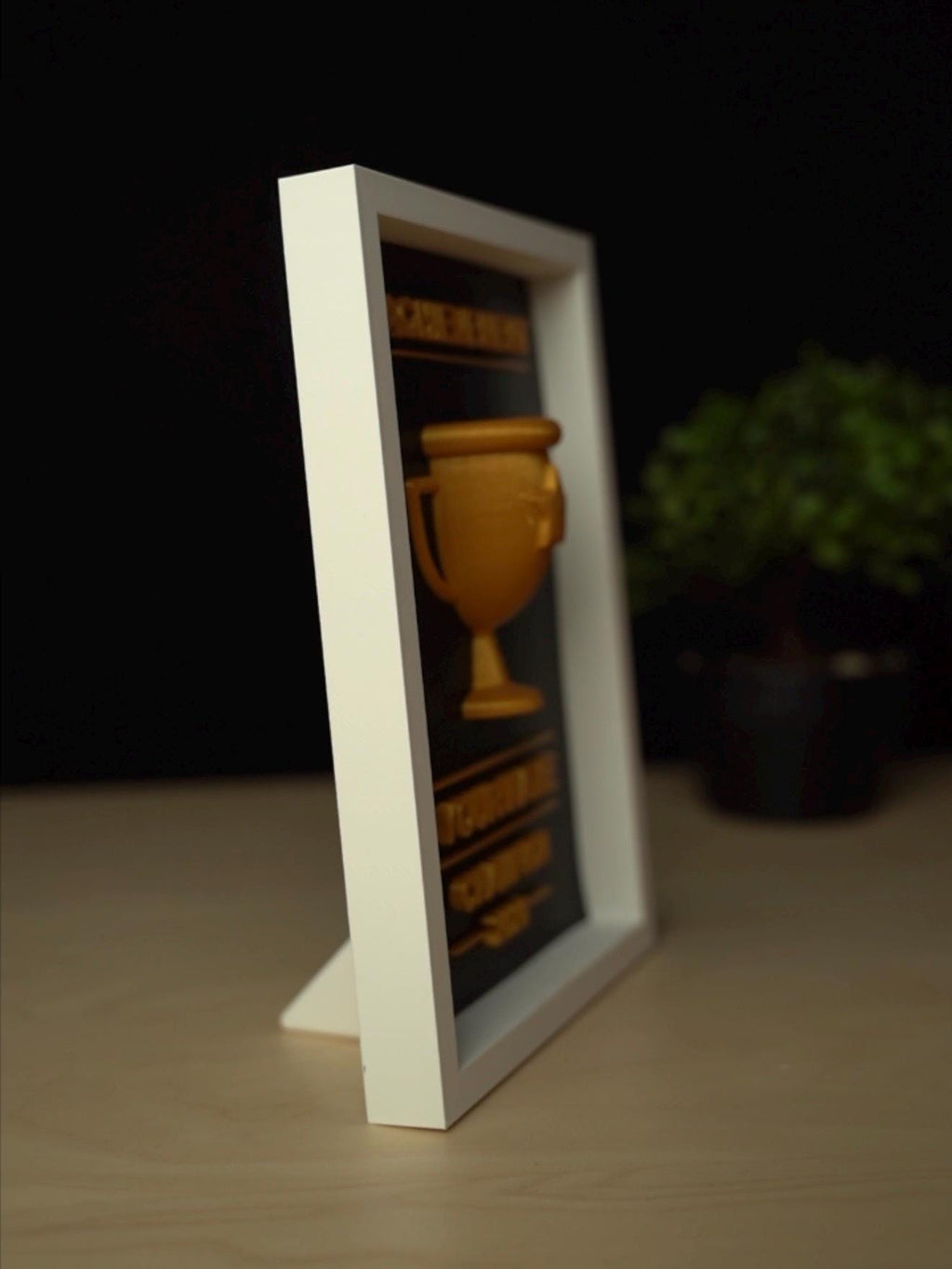 Personalized 3D Trophy Frame | Customizable 3D Trophy Shadow Box| Custom Champion Award Plaque | Fantasy Football Sports