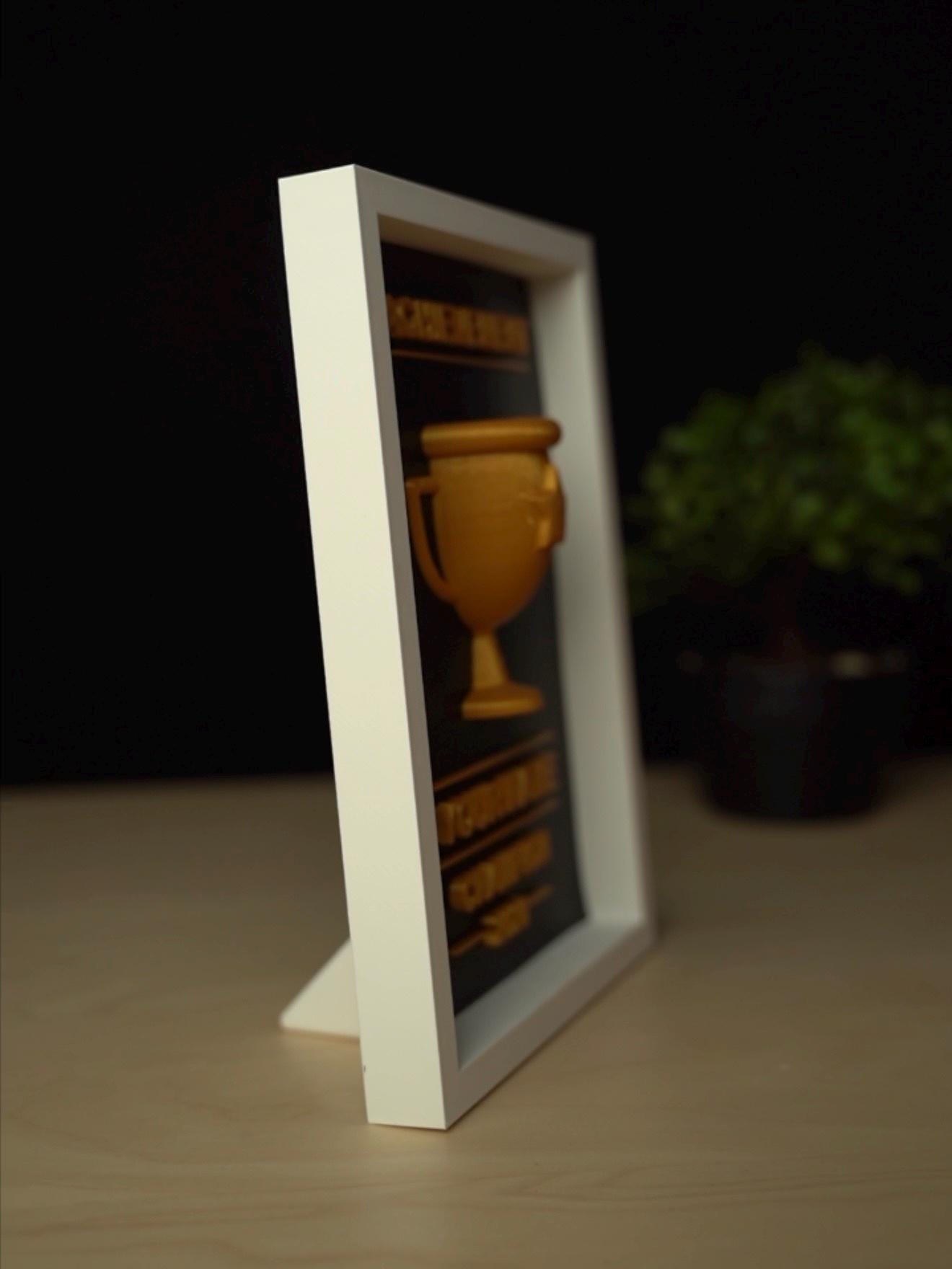 Personalized 3D Trophy Frame | Customizable 3D Trophy Shadow Box| Custom Champion Award Plaque | Fantasy Football Sports