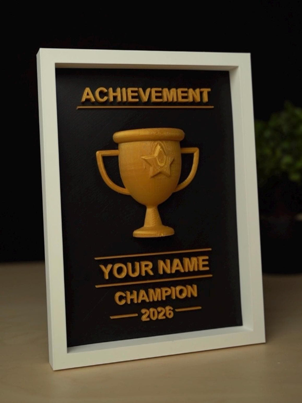 Personalized 3D Trophy Frame | Customizable 3D Trophy Shadow Box| Custom Champion Award Plaque | Fantasy Football Sports