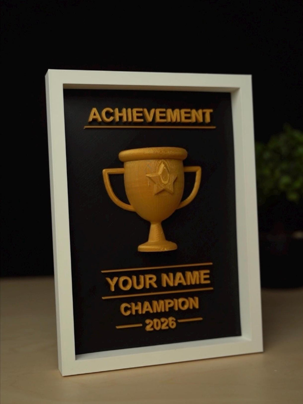 Personalized 3D Trophy Frame | Customizable 3D Trophy Shadow Box| Custom Champion Award Plaque | Fantasy Football Sports