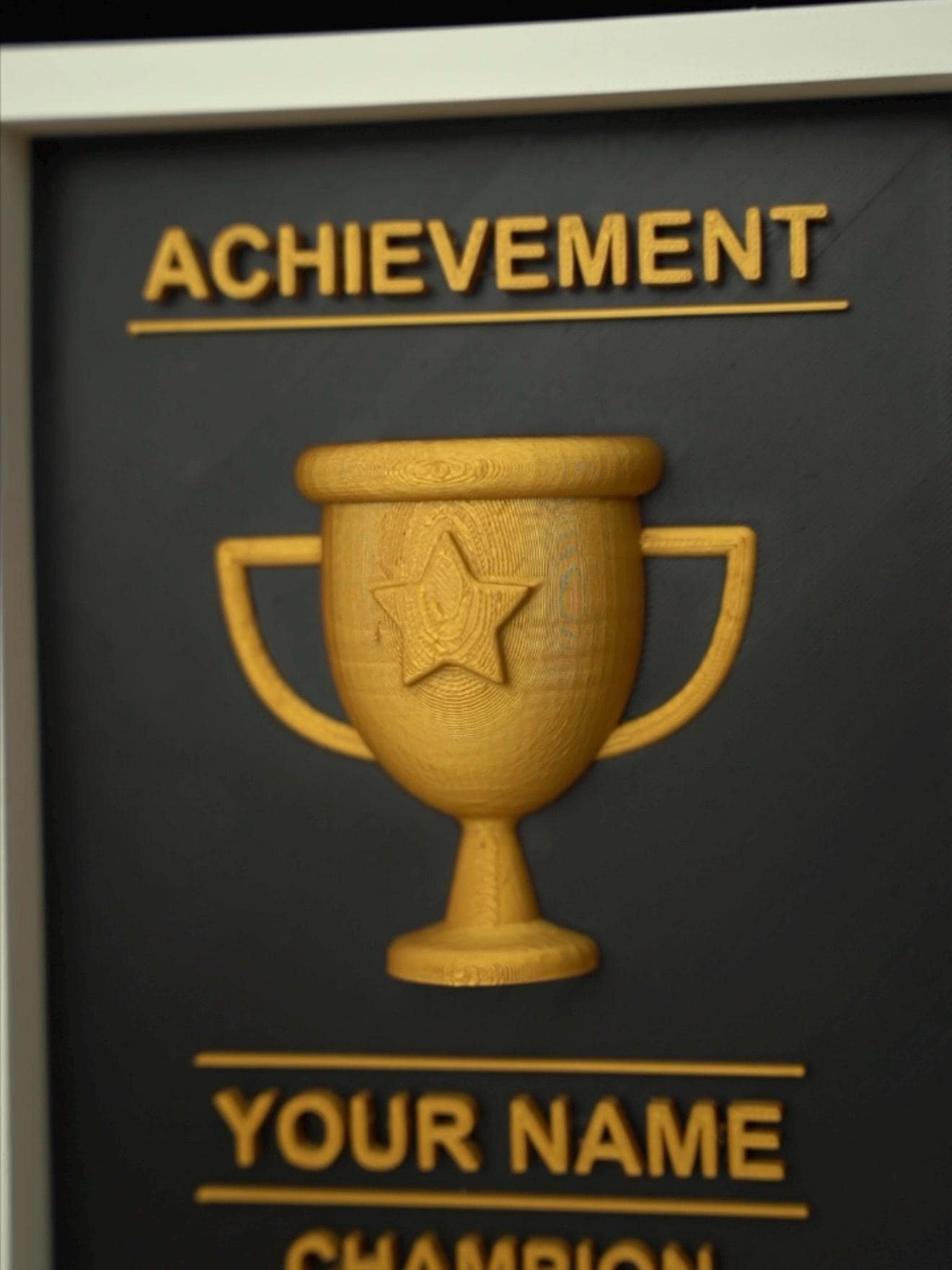 Personalized 3D Trophy Frame | Customizable 3D Trophy Shadow Box| Custom Champion Award Plaque | Fantasy Football Sports